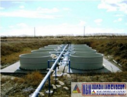 vand-teren-3-ha-intravilan-in-nucsoara-arges-16