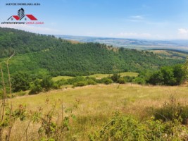 oferta-teren-de-vanzare-33-de-hectare-alba-iulia-inuri