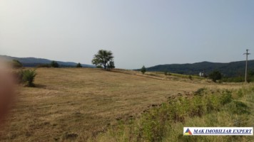 teren-intraextravilan-3-ha-draghici-mihaesti-arges-ideal-pentru-dezvoltare-2