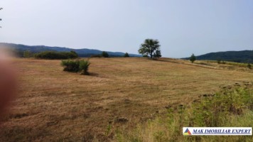 teren-intraextravilan-3-ha-draghici-mihaesti-arges-ideal-pentru-dezvoltare-3