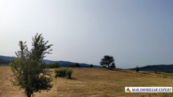teren-intraextravilan-3-ha-draghici-mihaesti-arges-ideal-pentru-dezvoltare-4