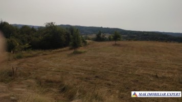 teren-intraextravilan-3-ha-draghici-mihaesti-arges-ideal-pentru-dezvoltare-5