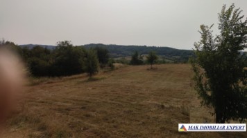 teren-intraextravilan-3-ha-draghici-mihaesti-arges-ideal-pentru-dezvoltare-6