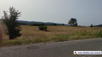teren-intraextravilan-3-ha-draghici-mihaesti-arges-ideal-pentru-dezvoltare-8