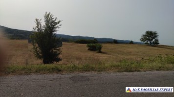 teren-intraextravilan-3-ha-draghici-mihaesti-arges-ideal-pentru-dezvoltare-9