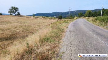 teren-intraextravilan-3-ha-draghici-mihaesti-arges-ideal-pentru-dezvoltare-10