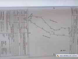 padure-25-ha-1-ha-15-ha-schitu-golesti-4