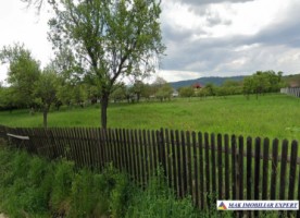 teren-intravilan-2450-mp-de-vanzare-in-valea-mare-pravat-ideal-pentru-constructii-rezidentiale