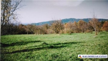 teren-intravilan-2450-mp-de-vanzare-in-valea-mare-pravat-ideal-pentru-constructii-rezidentiale-2