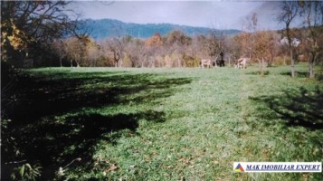 teren-intravilan-2450-mp-de-vanzare-in-valea-mare-pravat-ideal-pentru-constructii-rezidentiale-3