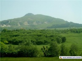 teren-intravilan-2450-mp-de-vanzare-in-valea-mare-pravat-ideal-pentru-constructii-rezidentiale-4