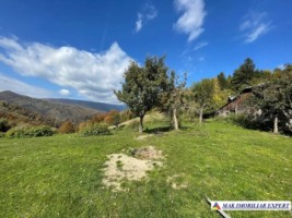 teren-de-31-ha-intra-si-extravilan-de-vanzare-in-dealul-sasului-dambovicioara-arges-ideal-pentru-dezvoltari-turistice-sau-agricole