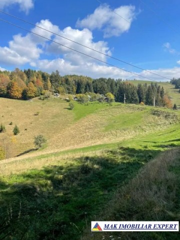teren-de-31-ha-intra-si-extravilan-de-vanzare-in-dealul-sasului-dambovicioara-arges-ideal-pentru-dezvoltari-turistice-sau-agricole-4