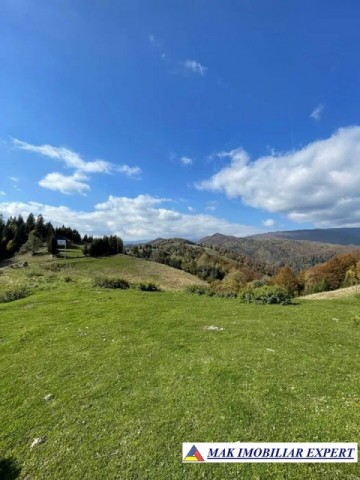 teren-de-31-ha-intra-si-extravilan-de-vanzare-in-dealul-sasului-dambovicioara-arges-ideal-pentru-dezvoltari-turistice-sau-agricole-3