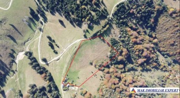 teren-de-31-ha-intra-si-extravilan-de-vanzare-in-dealul-sasului-dambovicioara-arges-ideal-pentru-dezvoltari-turistice-sau-agricole-6