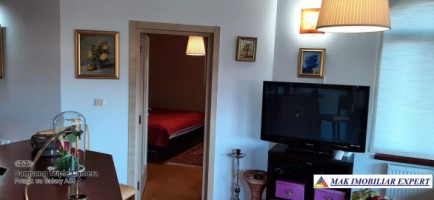 vila-6-camere-teren-4006-mp-de-vanzare-in-marcus-campulung-muscel-arges-21