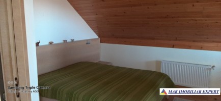vila-6-camere-teren-4006-mp-de-vanzare-in-marcus-campulung-muscel-arges-37