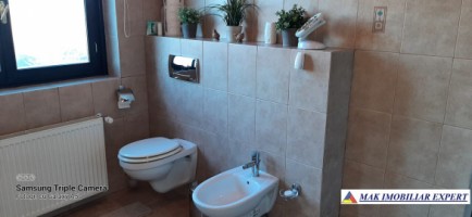 vila-6-camere-teren-4006-mp-de-vanzare-in-marcus-campulung-muscel-arges-51