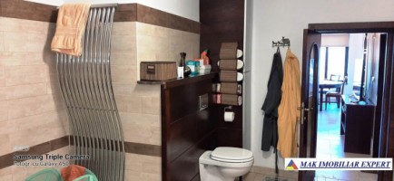 vila-6-camere-teren-4006-mp-de-vanzare-in-marcus-campulung-muscel-arges-57