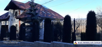 vila-6-camere-teren-4006-mp-de-vanzare-in-marcus-campulung-muscel-arges-62