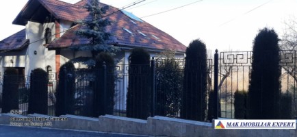 vila-6-camere-teren-4006-mp-de-vanzare-in-marcus-campulung-muscel-arges-64