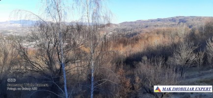 vila-6-camere-teren-4006-mp-de-vanzare-in-marcus-campulung-muscel-arges-77