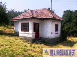 teren-intravilan-de-vanzare-8000-mp-in-cretisoara-campulung-muscel-arges