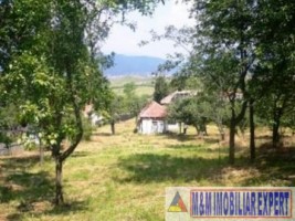 teren-intravilan-de-vanzare-8000-mp-in-cretisoara-campulung-muscel-arges-1