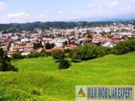 teren-intravilan-de-vanzare-8000-mp-in-cretisoara-campulung-muscel-arges-2