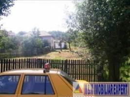 teren-intravilan-de-vanzare-8000-mp-in-cretisoara-campulung-muscel-arges-3