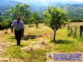 teren-intravilan-de-vanzare-8000-mp-in-cretisoara-campulung-muscel-arges-4