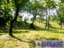teren-intravilan-de-vanzare-8000-mp-in-cretisoara-campulung-muscel-arges-5