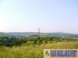 teren-intravilan-de-vanzare-8000-mp-in-cretisoara-campulung-muscel-arges-6