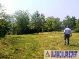 teren-intravilan-de-vanzare-8000-mp-in-cretisoara-campulung-muscel-arges-7