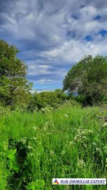 teren-intravilan-de-1-ha-cu-casa-la-rosu-utilitati-si-acoperis-nou-situat-in-bilcesti-valea-mare-pravat-arges-26