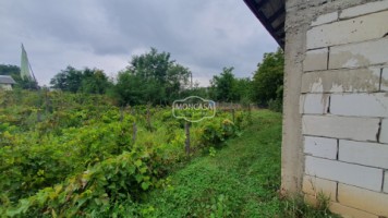 casa-pm-la-rosu-in-sat-cernesti-com-todireni-teren-2200-mp-6