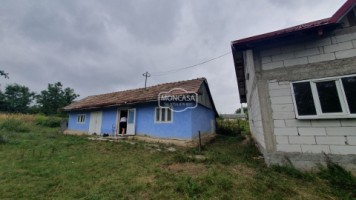 casa-pm-la-rosu-in-sat-cernesti-com-todireni-teren-2200-mp-25