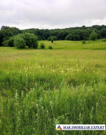 teren-228-ha-draghici-mihaesti-arges-ideal-pentru-dezvoltare-agricola-si-rezidentiala
