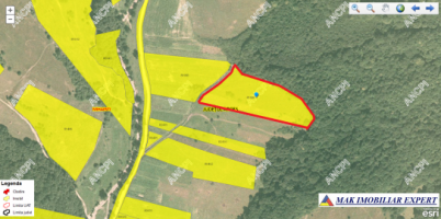 teren-228-ha-draghici-mihaesti-arges-ideal-pentru-dezvoltare-agricola-si-rezidentiala-4