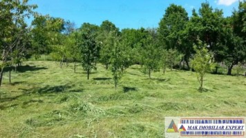 teren-intravilan-de-1454-mp-in-stoenesti-arges-ideal-pentru-constructie-rezidentiala