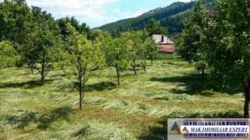 teren-intravilan-de-1454-mp-in-stoenesti-arges-ideal-pentru-constructie-rezidentiala-1