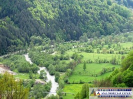 teren-intravilan-de-1454-mp-in-stoenesti-arges-ideal-pentru-constructie-rezidentiala-4