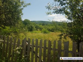 teren-intravilan-1177-mp-de-vanzare-stalpeni-arges-ideal-pentru-constructii-rezidentiale-sau-casa-de-vacanta