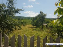 teren-intravilan-1177-mp-de-vanzare-stalpeni-arges-ideal-pentru-constructii-rezidentiale-sau-casa-de-vacanta-2