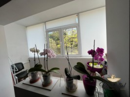 apartament-2-camere-decomandat-mobilat-si-utilat-complet-zona-garii-la-200-de-m-de-blue-aquasos-arcu-5
