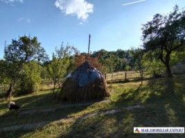 vand-teren-3500-mp-livada-intravilan-campulung-muscel-arges
