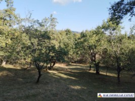 vand-teren-3500-mp-livada-intravilan-campulung-muscel-arges-13