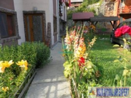 vila-7-camere-teren-700-mp-de-vanzare-in-rucar-arges-21