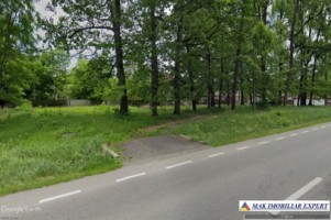 teren-intravilan-8000-mp-parcul-dendrologic-mihaesti-arges-ideal-pentru-constructii-1