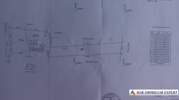 teren-intravilan-8000-mp-parcul-dendrologic-mihaesti-arges-ideal-pentru-constructii-6